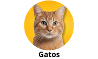 Gatos