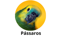 Pássaros