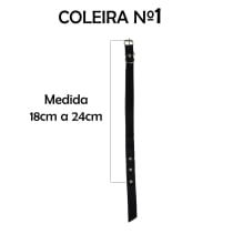 Cartela Coleira Fivela Nylon Nº1 - 10 Un.