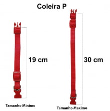 Cartela Coleira Nylon Lisa P - 10 Un.