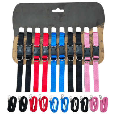 Cartela Coleira Premium Com Guia 1M Nylon Lisa M - 10 Un.