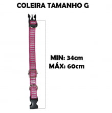 Cartela Coleira Premium Com Guia 1M Nylon Sortida G - 10 Un.