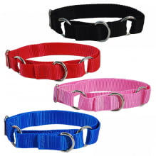 Coleira Belga Enforcador Nylon G - 1 Un.