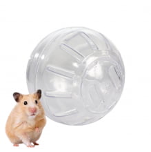 Globo Acrílico Bola Brinquedo Roedor Exercício Hamster